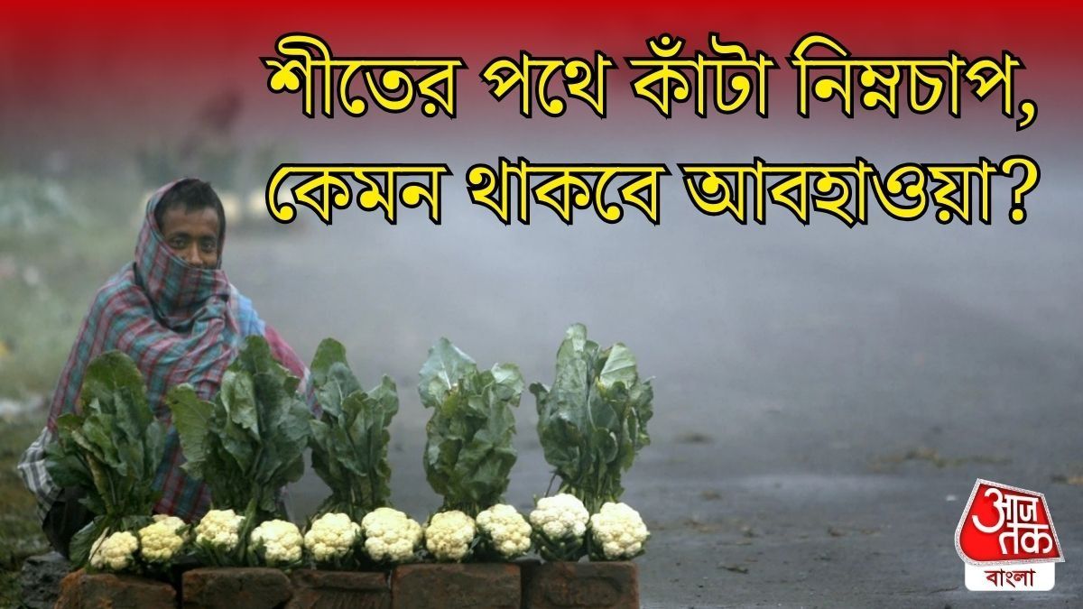 আবার নিম্নচাপ বঙ্গোপসাগরে, কী গতিবিধি? বড় আপডেট দিল IMD