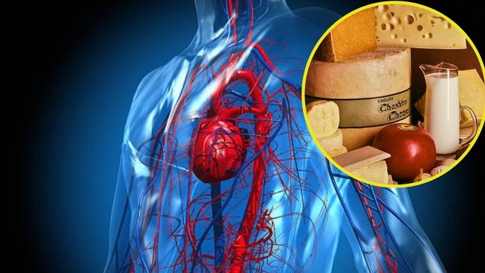 এই ৩ জিনিস শিরা ও ধমনীতে জমে থাকা ময়লা পরিষ্কার করে, হার্ট ভাল রাখে