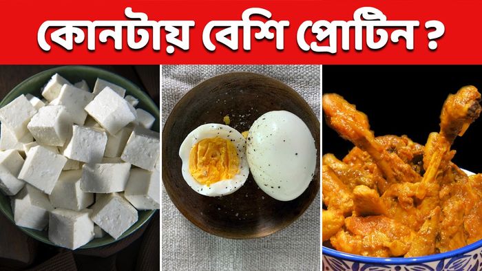 প্রোটিনে ভরপুর খাবার