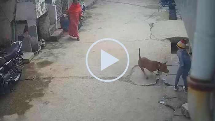 দুর্বল হৃদয়ের জন্য এই ভিডিওটি নয়।