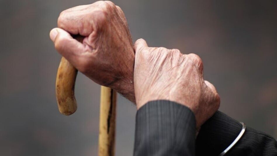 ৯০ বছরের বেশি বয়সীদের এই ৫ অভ্যাস থাকে, দীর্ঘায়ুর 'সিক্রেট' এটা ৯০ বছরের বেশি বয়সীদের এই ৫ অভ্যাস থাকে, দীর্ঘায়ুর 'সিক্রেট' এটা