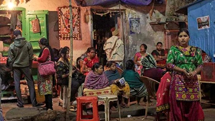 সোনাগাছিতে এসআইআর বিভ্রান্তি।-সংগৃহীত ছবি