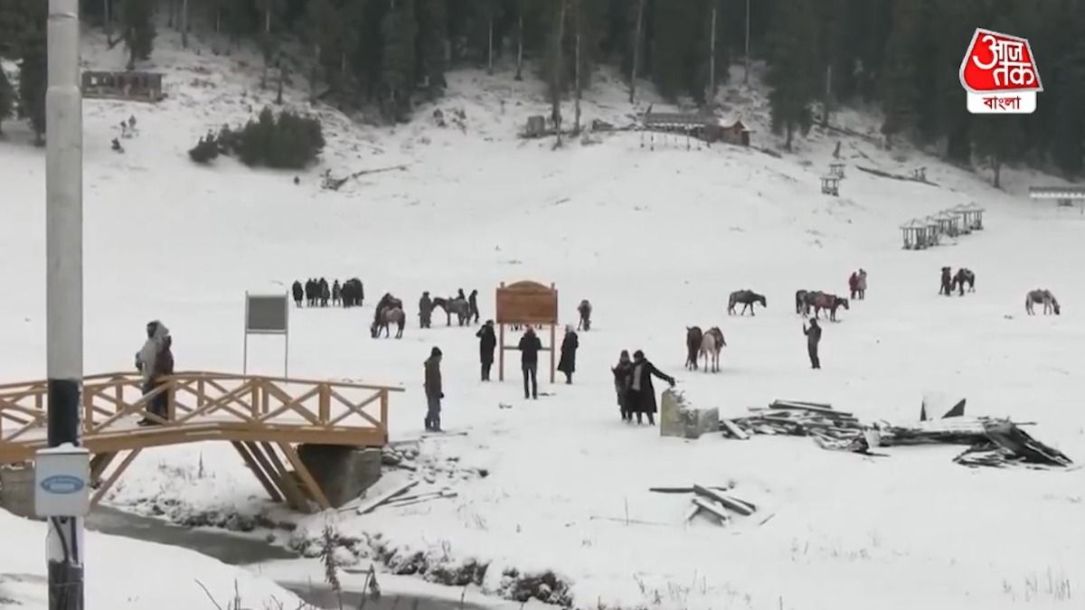 পকেট খালি থাকলেও দেশের এই ৩ জায়গায় বেড়াতে যাওয়া যাবে, কীরকম?