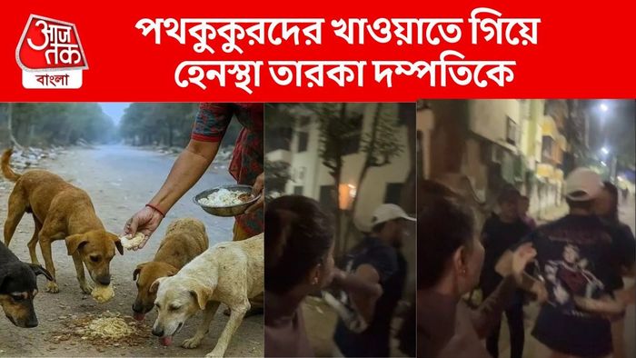 রাস্তার কুকুরকে খাওয়াতে গিয়ে সমস্যায় তারকা দম্পতি