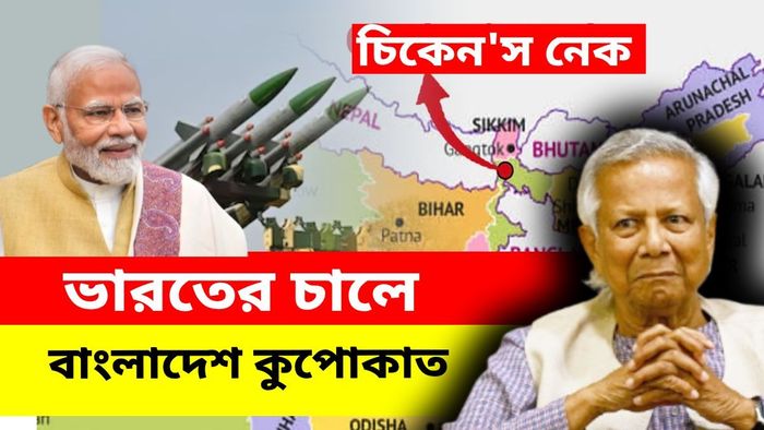 চিকেন নেক