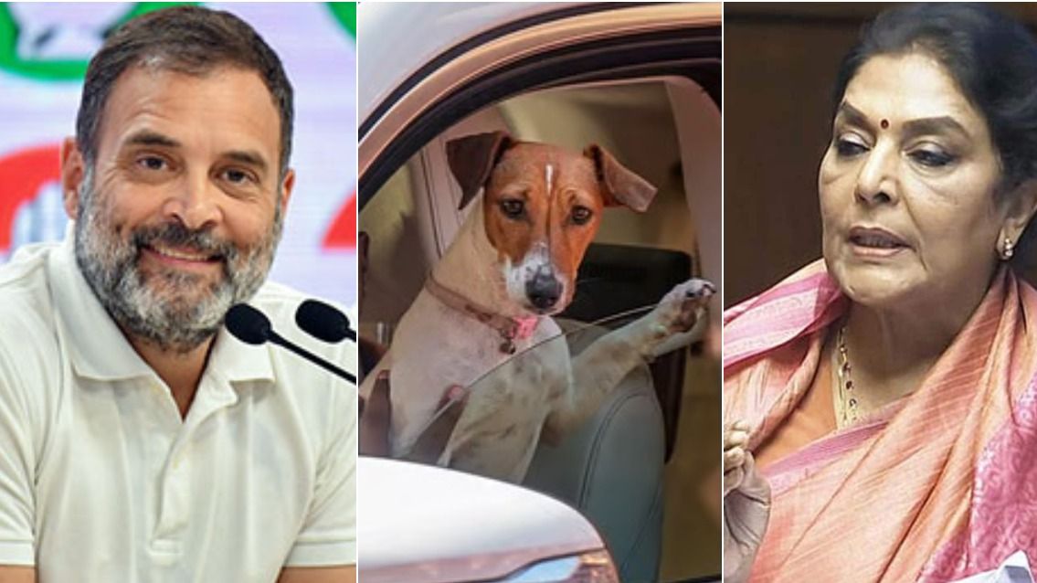 রাহুল গান্ধী ও রেণুকা চৌধুরী।-ফাইল ছবি