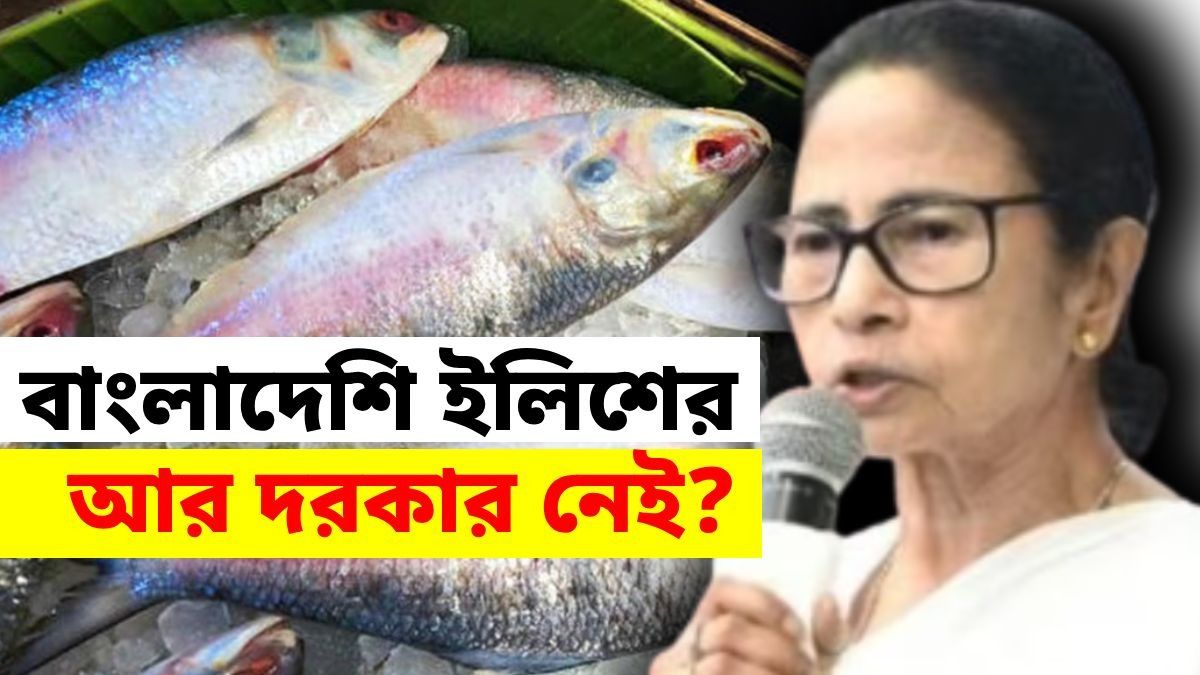 ইলিশে 'স্বয়ংসম্পূর্ণ' রাজ্য, বললেন মমতা, বাজার কী বলছে? খোঁজ নিল bangla.aajtak.in
