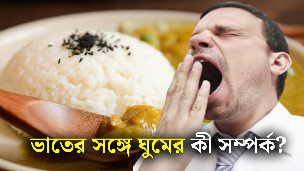 কেন দুপুরে ভাত খেলে ঘুম পায়? জানালেন নামী ডায়েটিশিয়ানরা