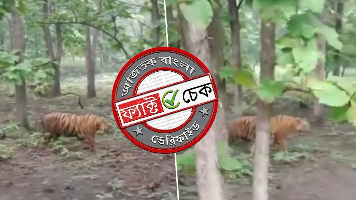 ফ্যাক্ট চেক: পূর্ব বর্ধমানের মানকর জঙ্গলে বাঘের দেখা মেলেনি, ৫ বছর পুরনো ভিডিও ছড়াচ্ছে মিথ্যে দাবিতে