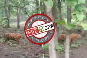 Social Media Users Social Media Users