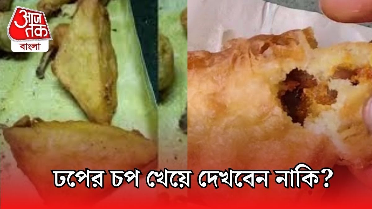 কথার কথা নয়, সত্যিই খাওয়া যায় ঢপের চপ! জানেন কীভাবে বানাবেন?