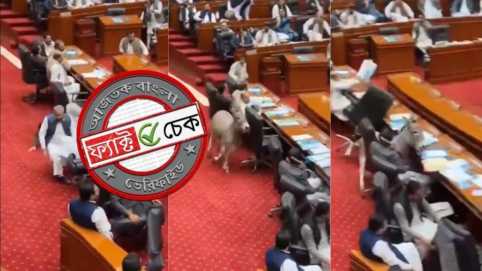 ফ্যাক্ট চেক: পাকিস্তানি পার্লামেন্টে ঢুকে উৎপাত চালায়নি গাধা, AI নির্মিত ভিডিও-র খপ্পরে নানা মাধ্যম ফ্যাক্ট চেক: পাকিস্তানি পার্লামেন্টে ঢুকে উৎপাত চালায়নি গাধা, AI নির্মিত ভিডিও-র খপ্পরে নানা মাধ্যম