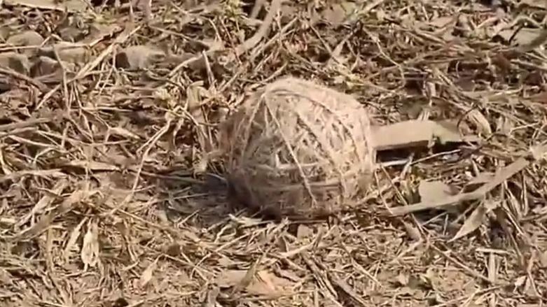 বোমাতঙ্ক বীরভূমের সিউড়িতে, এলাকায় চাঞ্চল্য