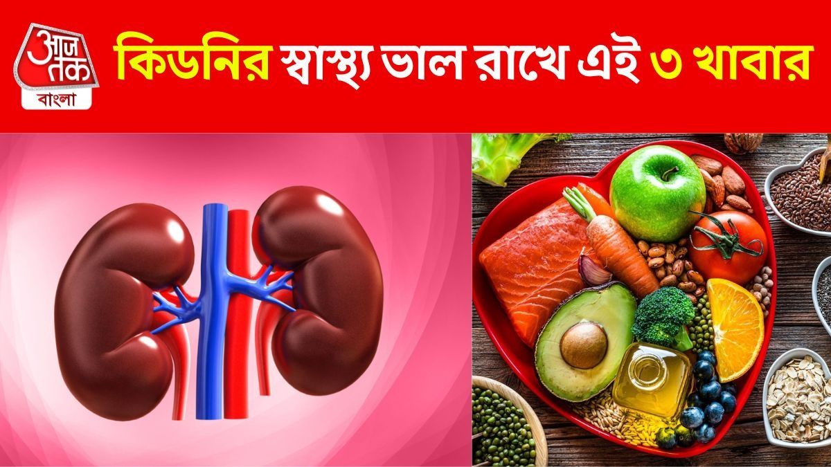 এই ৩ খাবারই ভাল রাখে কিডনিকে, ঝুঁকি কমে হৃদরোগেরও