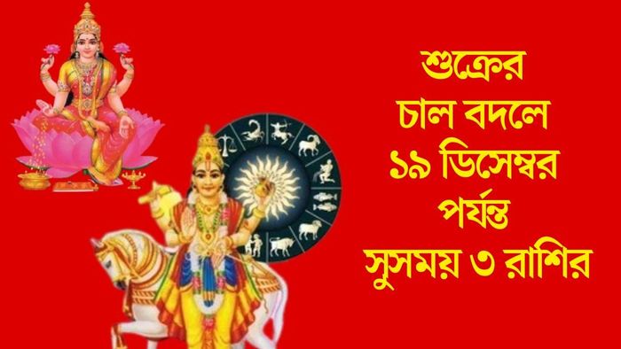 শুক্রের চাল বদলে ১৯ ডিসেম্বর পর্যন্ত সুসময় ৩ রাশির