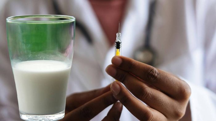 গরুর মৃত্যু