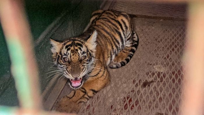 প্রতীকি ছবি