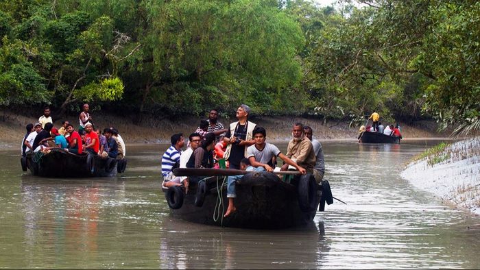 Sundarban