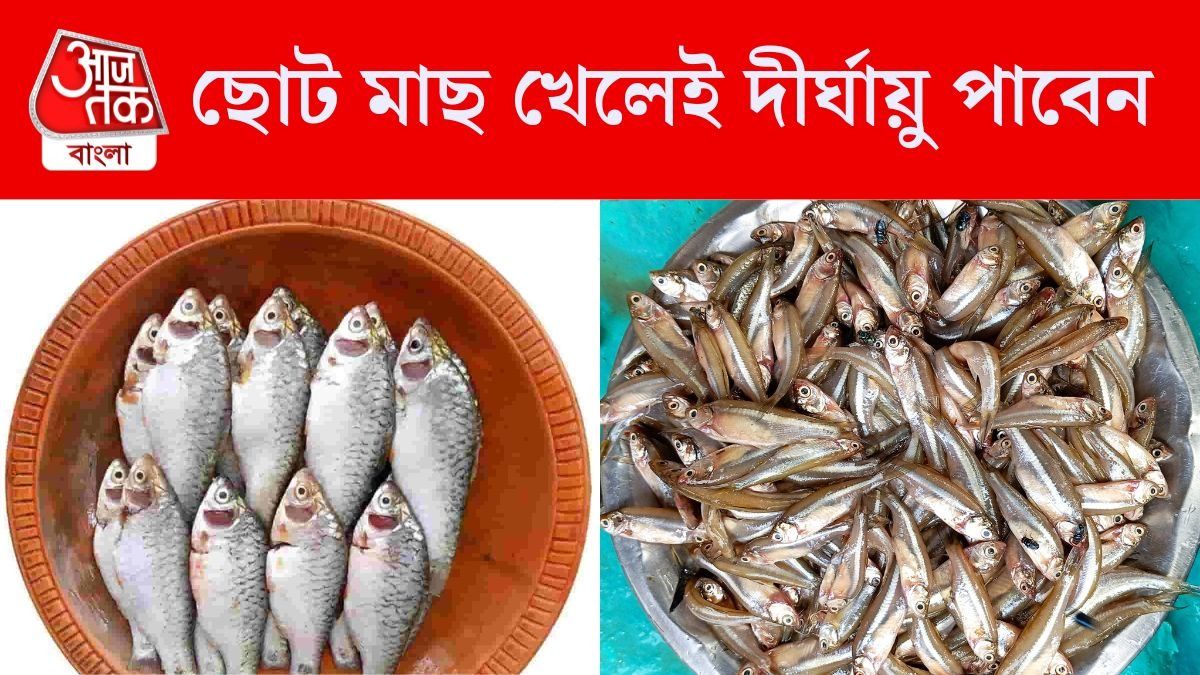 পাকা মাছ বাদ দিন, এই ৪ ছোট মাছ খেলেই পাবেন হরেক উপকার