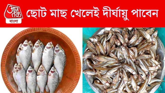 ছোট মাছ খেলেই পাবেন এই উপকার