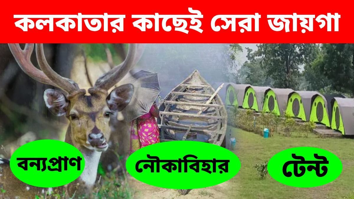গা ছমছমে ঘন জঙ্গল, ভুতুড়ে শব্দ, কলকাতার কাছেই রয়েছে রহস্যময় জায়গা, জানতেন?