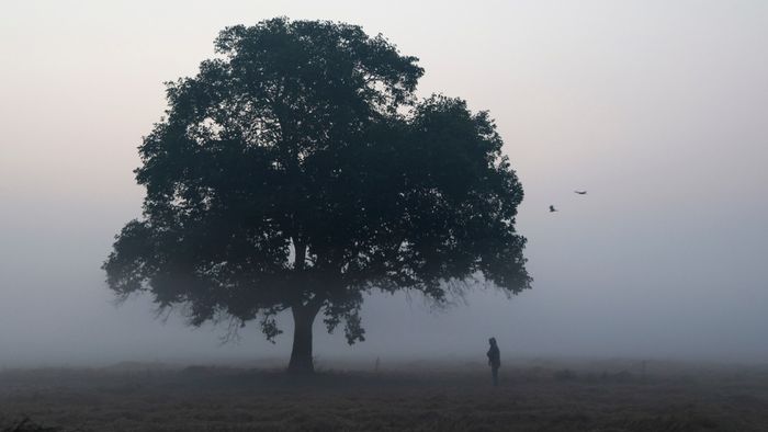 কুয়াশাঘেরা মাঠ।-রয়টার্সের ছবি