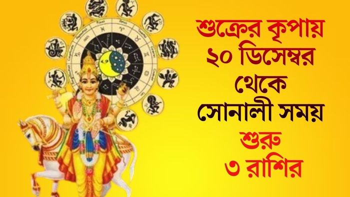শুক্রের কৃপায় ২০ ডিসেম্বর থেকে সোনালী সময় শুরু ৩ রাশির