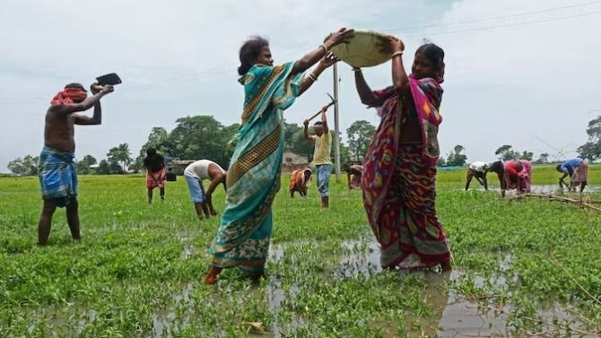 আর নয় MGNREGA, গ্রামীণ রোজগারে এবার নয়া আইন আনছে মোদী সরকার, কী নতুন?
