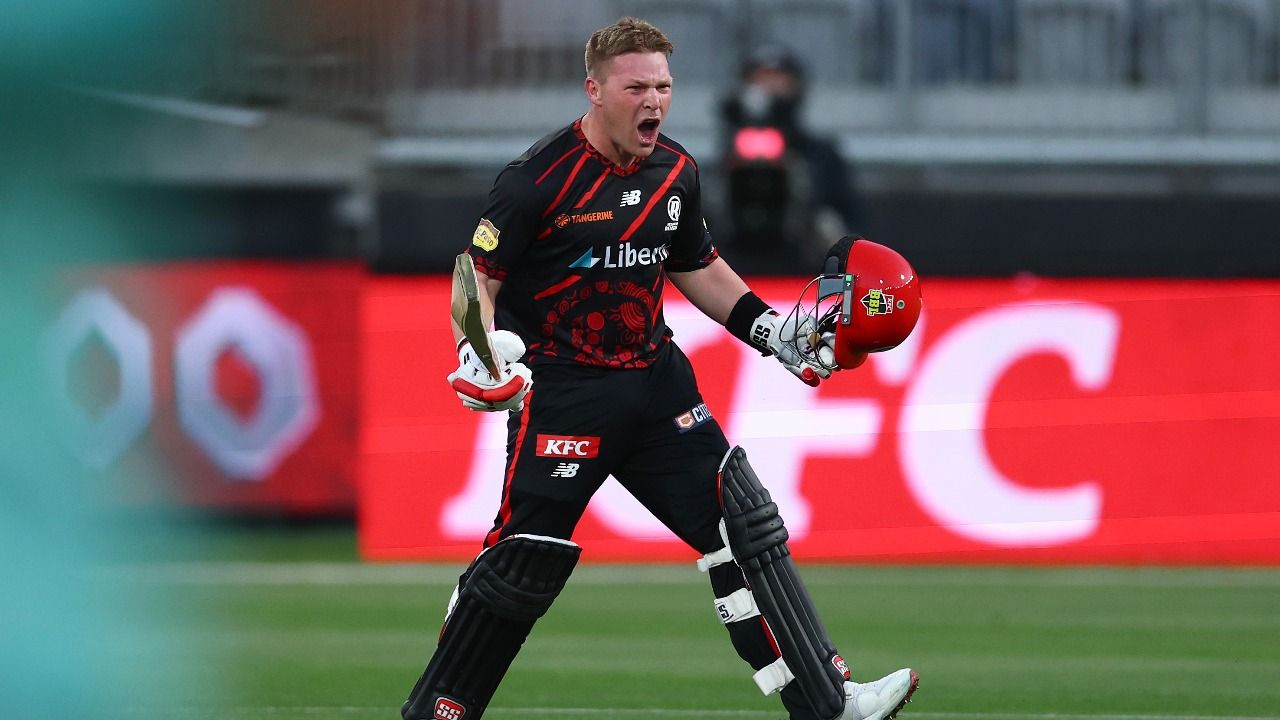 টিম সেইফার্ট