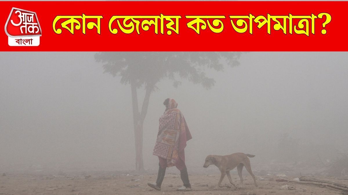 পৌষের আগে কনকনে শীত উধাও, দক্ষিণবঙ্গ জুড়ে কুয়াশার দাপট, জারি সতর্কবার্তা 