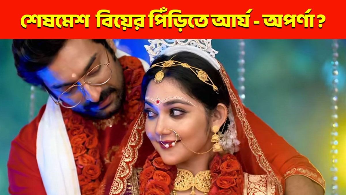 সাত পাকে বাঁধা পড়বে আর্য ও অপর্ণা, নাকি প্রাক্তনের আগমনে ভেস্তে যাবে সব?