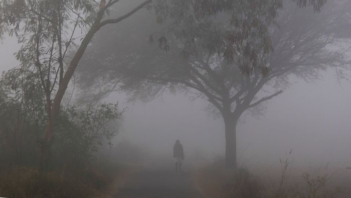 কুয়াশাচ্ছন্ন সকাল।-ফাইল ছবি