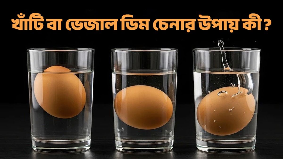 আসল বা নকল ডিম চেনার উপায় 