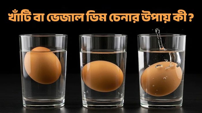 আসল বা নকল ডিম চেনার উপায়