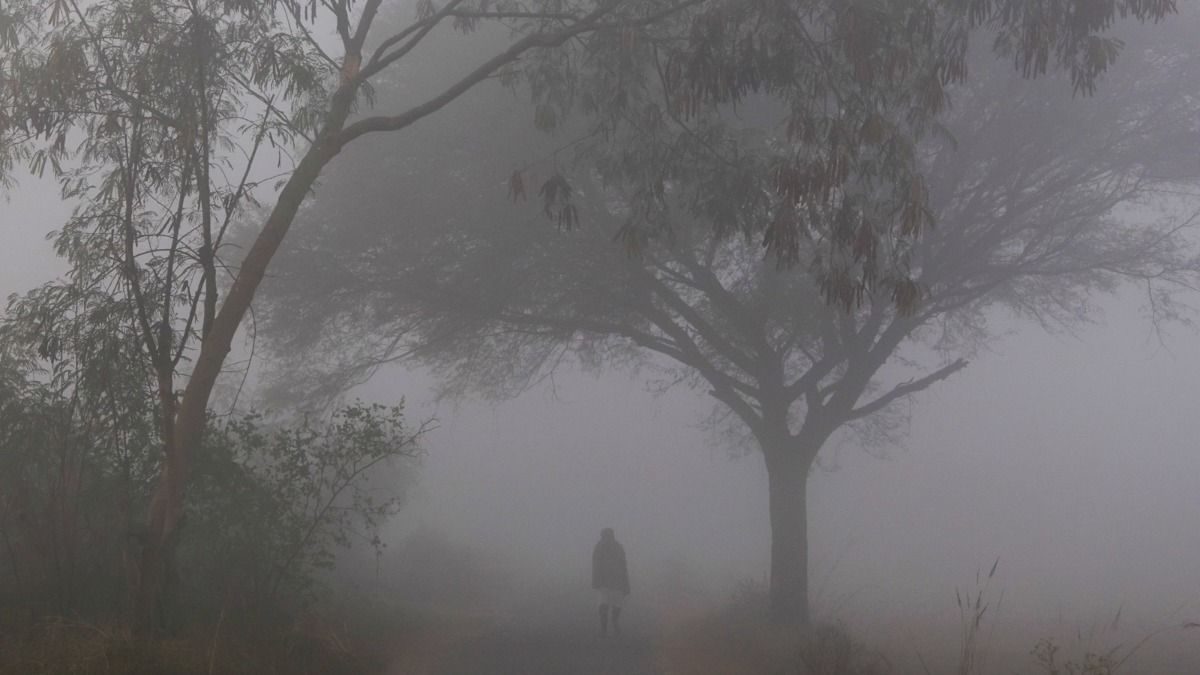 উত্তুরে হাওয়া ও কুয়াশার দাপট রাজ্যজুড়ে, দৃশ্যমানতা নামতে পারে ৫০ মিটারের নীচে, সতর্কতা জারি