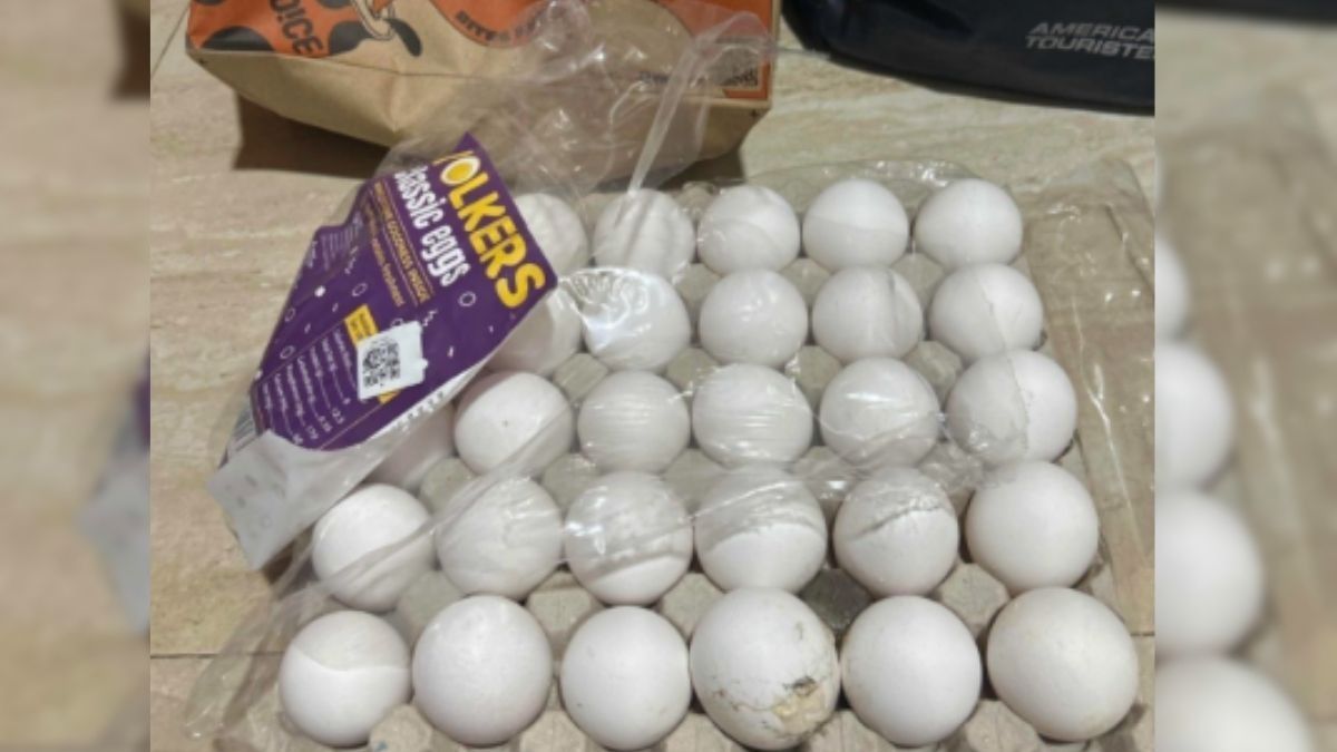  'সস্তায় পুষ্টিকর', রোজ রোজ ব্রেকফাস্টে ডিম খাওয়া আদৌ পুষ্টিকর?