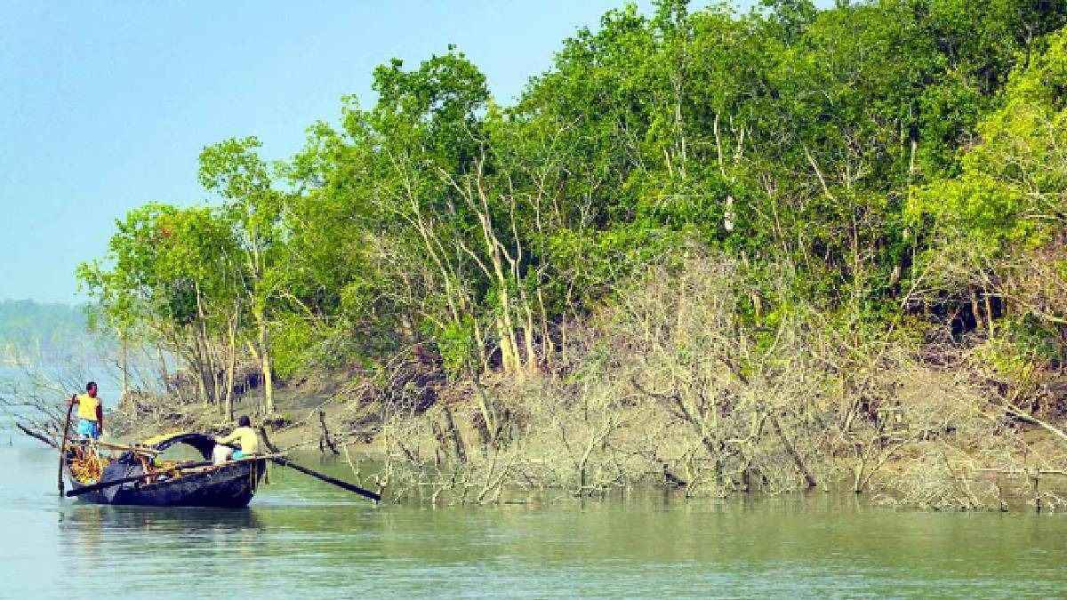 সুন্দরবন