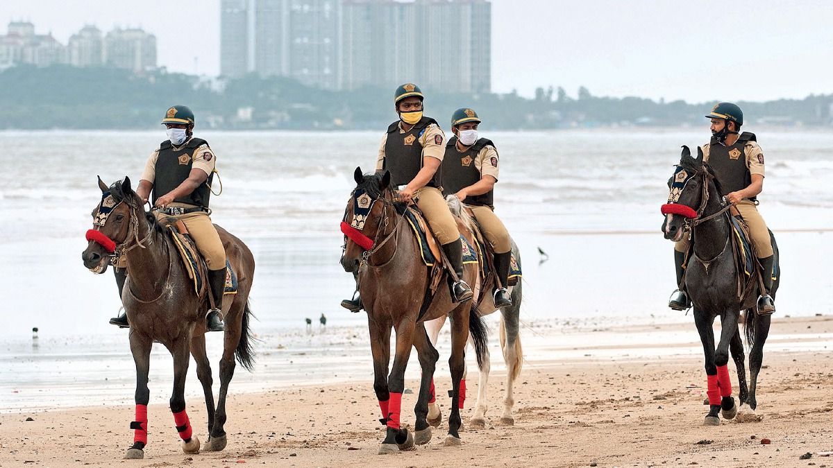 ঘোড়ার তেল কেন এত জনপ্রিয়? জেনে নিন এর দারুণ গুণ 