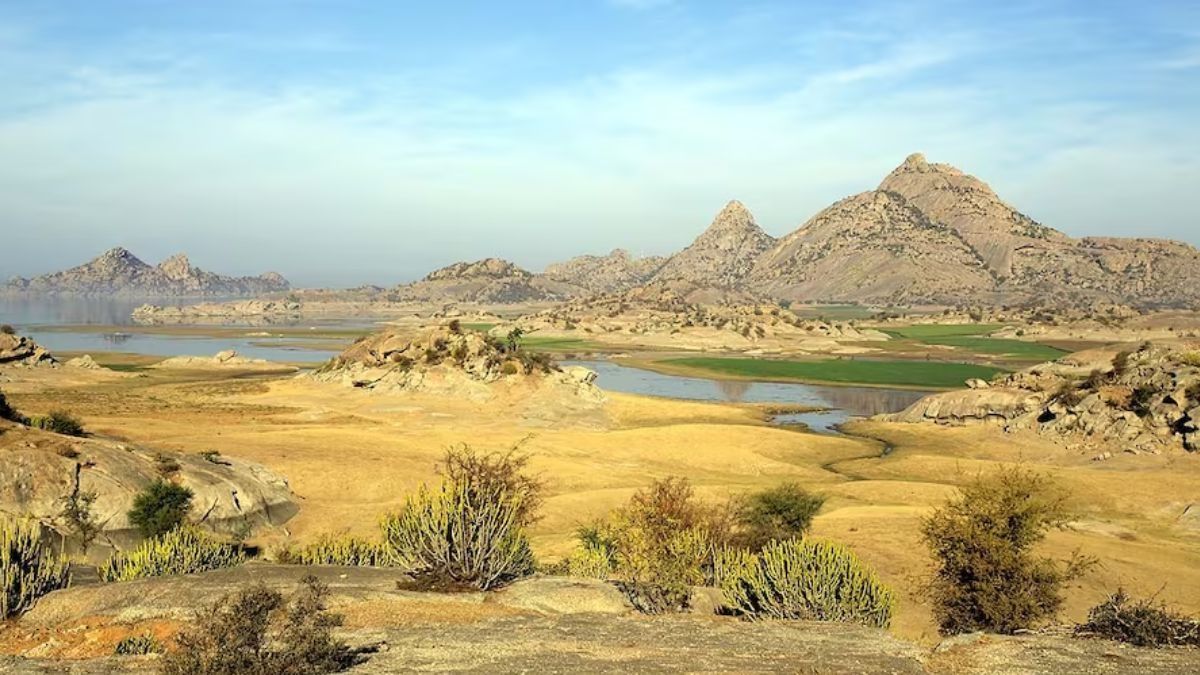 আরাবল্লি পর্বত