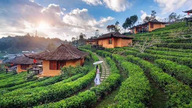 বর্ষবরণের মুখে অচলাবস্থা, পাহাড়-সমতলের গাড়ি বিরোধে বিপাকে পর্যটকরা