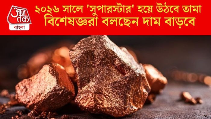 ২০২৬ সালে 'সুপারস্টার' হয়ে উঠবে তামা