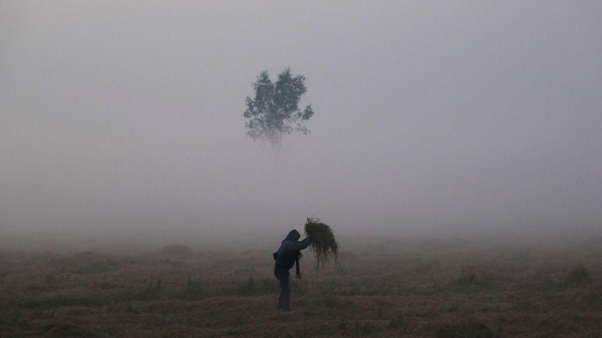 বড়দিনের আগেই জাঁকিয়ে শীতের পূর্বাভাস।-ফাইল ছবি