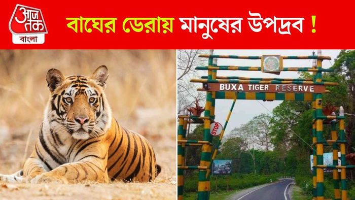 অসম থেকে বক্সায় বাঘ আনার পরিকল্পনা