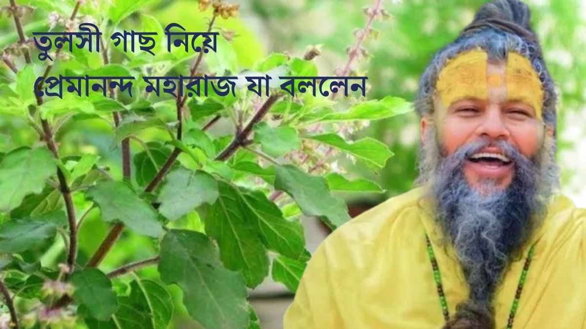 বাড়ির তুলসী গাছ বেশি ছড়িয়ে পড়লে এই কাজ অবশ্যই করুন, বলছেন প্রেমানন্দ মহারাজ