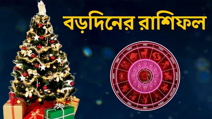 বড়দিনের রাশিফল