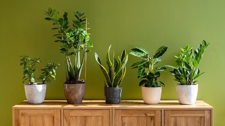 প্রতীকী ছবি 