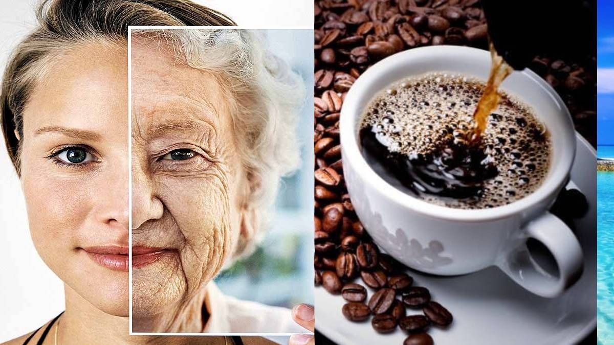 কফি কি আদৌ বার্ধক্য কমায়? উত্তর দিলেন বিজ্ঞানী 