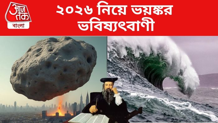 নস্ট্রাডামাস