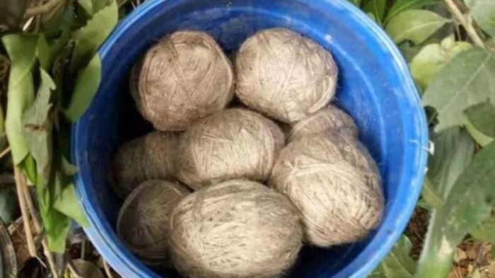 পূর্ব বর্ধমানের জামালপুরে বোমা উদ্ধার