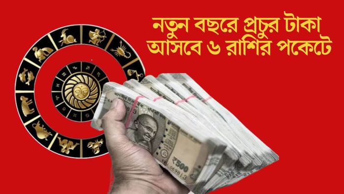 নতুন বছরে প্রচুর টাকা আসবে ৬ রাশির পকেটে